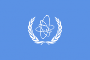 Międzynarodowa Agencja Energii Atomowej (MAEA)