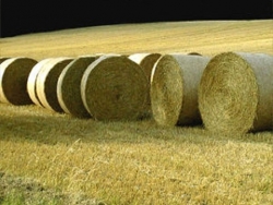 Kolejny krok do uregulowania rynku biomasy w Polsce