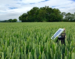 Monitoring gospodarstwa rolnego z wykorzystaniem danych satelitarnych z programu Copernicus