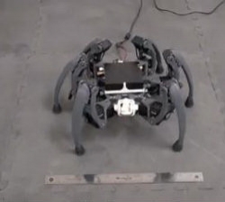 Student buduje robota pająka z części zamiennych.