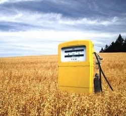 Do 2030 r. zwiększy się rola biopaliw w energetyce