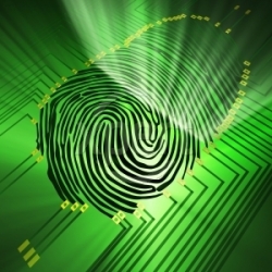 Technologie biometryczne coraz popularniejsze