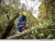 Energetycy TAURONA walczą ze skutkami huraganowego wiatru