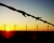 Brak wiatru przyczyną blackoutu w Australii Południowej