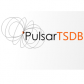 Pulsar Time Series Data Base