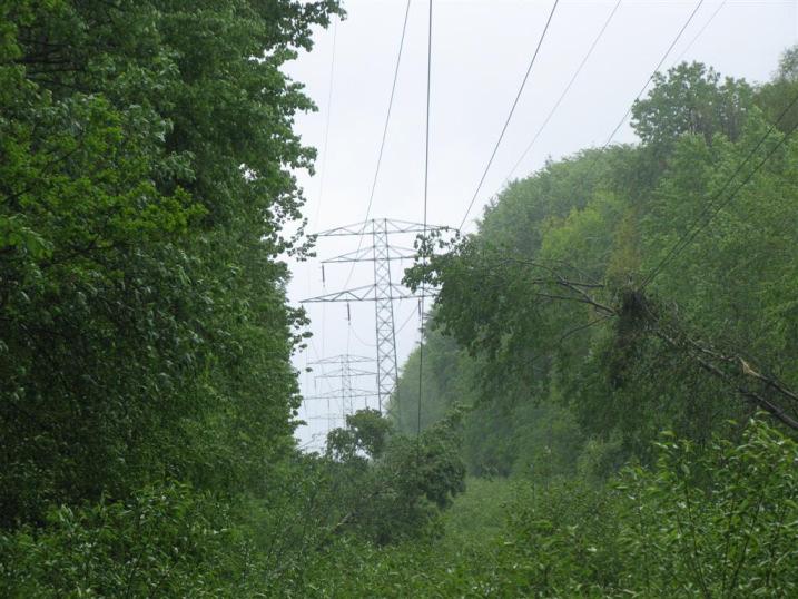 Zabrze &ndash; Helenka. Powalone drzewa zrywały linie energetyczne