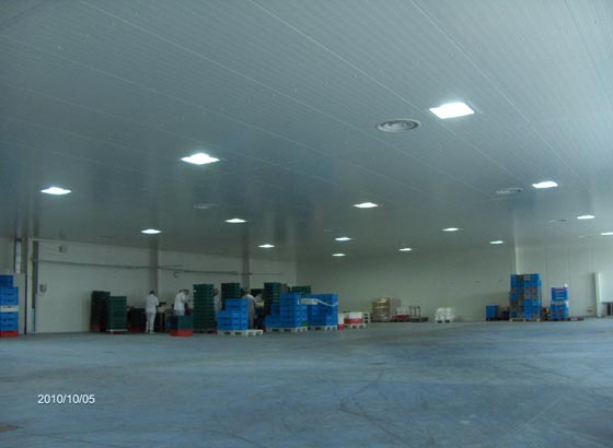 Największa w Polsce instalacja lamp indukcyjnych Największa w Polsce instalacja lamp indukcyjnych