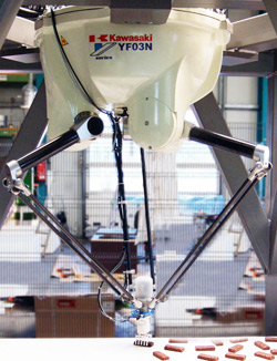 Robot YF003N w ultraszybkiej aplikacji pakowania batoników (130 szt./min) Robot YF003N w ultraszybkiej aplikacji pakowania batoników (130 szt./min)