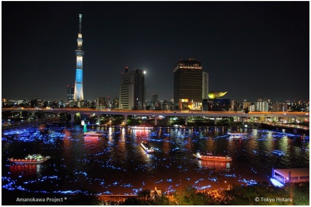 LED-y Panasonic rozświetliły festiwal w Tokio LED-y Panasonic rozświetliły festiwal w Tokio