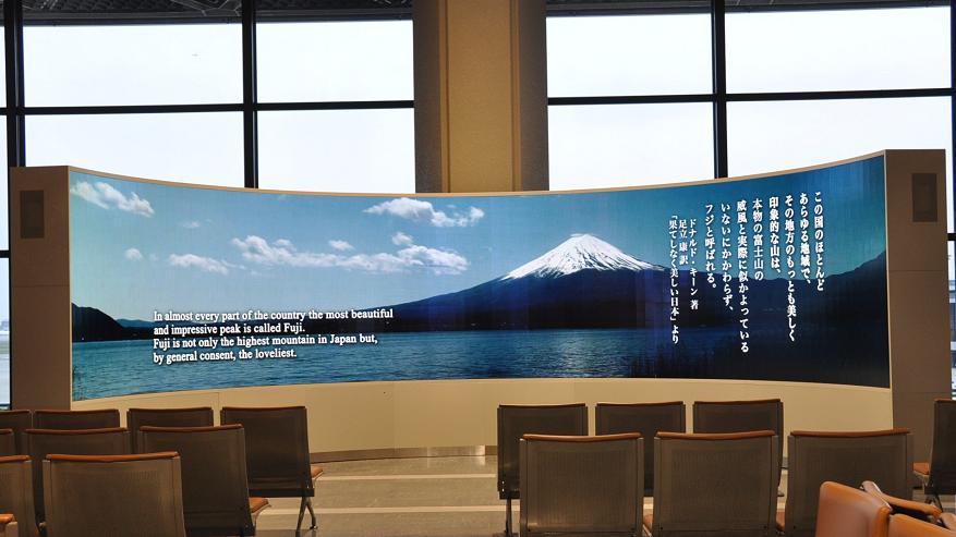 Panorama Vision OLED