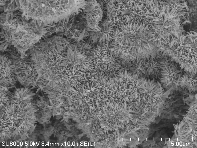 Zdjęcie mikroskopowe nowatorskiego fotokatalizatora 3D, opracowanego w Instytucie Chemii Fizycznej Polskiej Akademii Nauk w Warszawie i Fuzhou University w Chinach. (Źródło: IChF PAN, Fuzhou University) Zdjęcie mikroskopowe nowatorskiego fotokatalizatora 3D, opracowanego w Instytucie Chemii Fizycznej Polskiej Akademii Nauk w Warszawie i Fuzhou University w Chinach. (Źródło: IChF PAN, Fuzhou University)