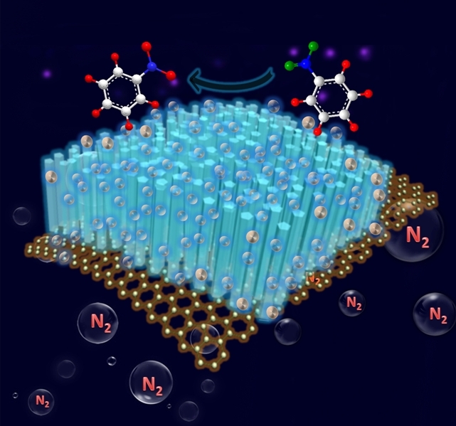 Nowatorski fotokatalizator 3D, opracowany w Instytucie Chemii Fizycznej Polskiej Akademii Nauk w Warszawie i Fuzhou University w Chinach, łączy zalety struktur 0D (punktowych wydzieleń siarczku kadmu), 1D (nanoprętów tlenku cynku) i 2D (grafenu), co umożliwia efektywne tworzenie nowych związków chemicznych. (Źródło: IChF PAN, Fuzhou University) Nowatorski fotokatalizator 3D, opracowany w Instytucie Chemii Fizycznej Polskiej Akademii Nauk w Warszawie i Fuzhou University w Chinach, łączy zalety struktur 0D (punktowych wydzieleń siarczku kadmu), 1D (nanoprętów tlenku cynku) i 2D (grafenu), co umożliwia efektywne tworzenie nowych związków chemicznych. (Źródło: IChF PAN, Fuzhou University)