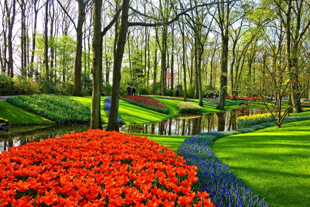 Zadbany park miejski