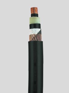 Kabel ziemny średniego napięcia N2XS(FL)2Y