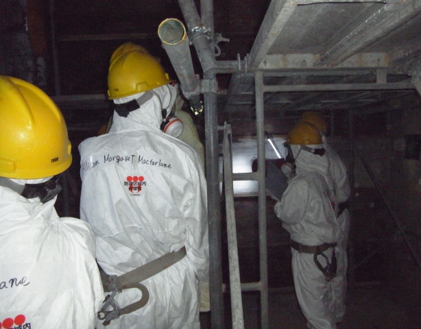 Nowa elektrownia jądrowa Hongyanhe w północno-wschodnich Chinach, uruchomiona w lutym 2013 r. po tym, jak w październiku ubiegłego roku chińskie władze zniosły obowiązujący przez 20 miesięcy zakaz rozbudowy elektrowni jądrowych w Chinach, który wprowadzono po katastrofie w elektrowni jądrowej w Fukushimie.