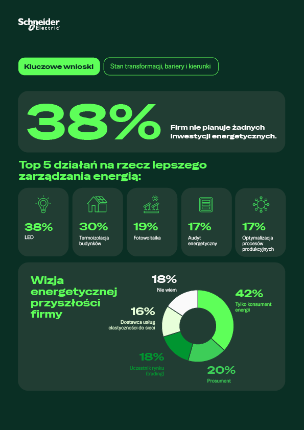 Schneider Electric raport