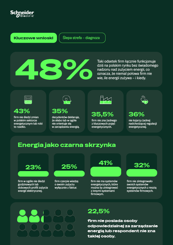 Schneider Electric raport