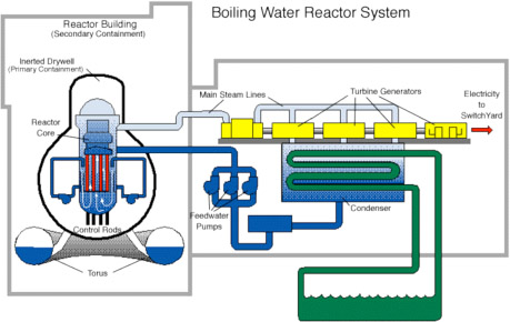 Reaktor wodny wrzący BWR (Boiling Water Reaktor)