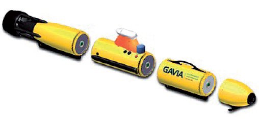 Rys. 4. Modułowa konstrukcja pojazd&oacute;w Gavia