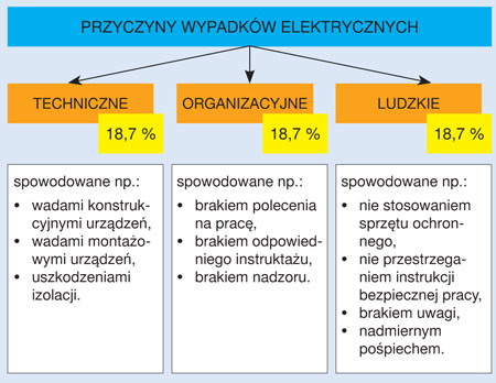 Rys. 1. Rozkład procentowy przyczyn wypadków Rys. 1. Rozkład procentowy przyczyn wypadków