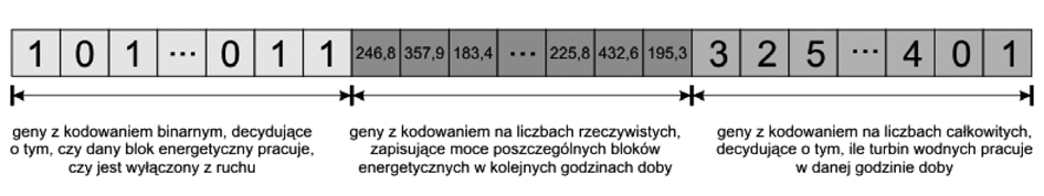 Materiał genetyczny z trzema r&oacute;żnymi sposobami kodowania rozwiązań