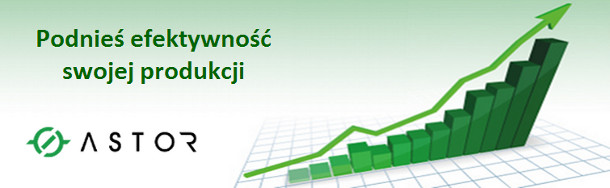 Efektywność produkcji Efektywność produkcji