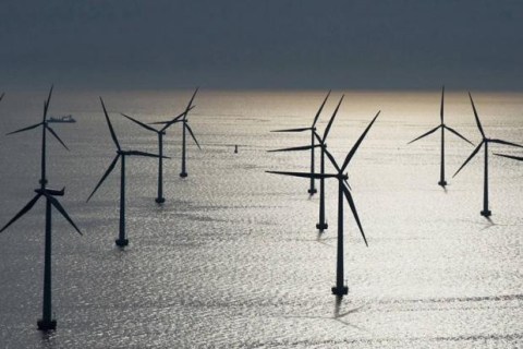 Elektrownie wiatrowe a ekologia Elektrownie wiatrowe a ekologia