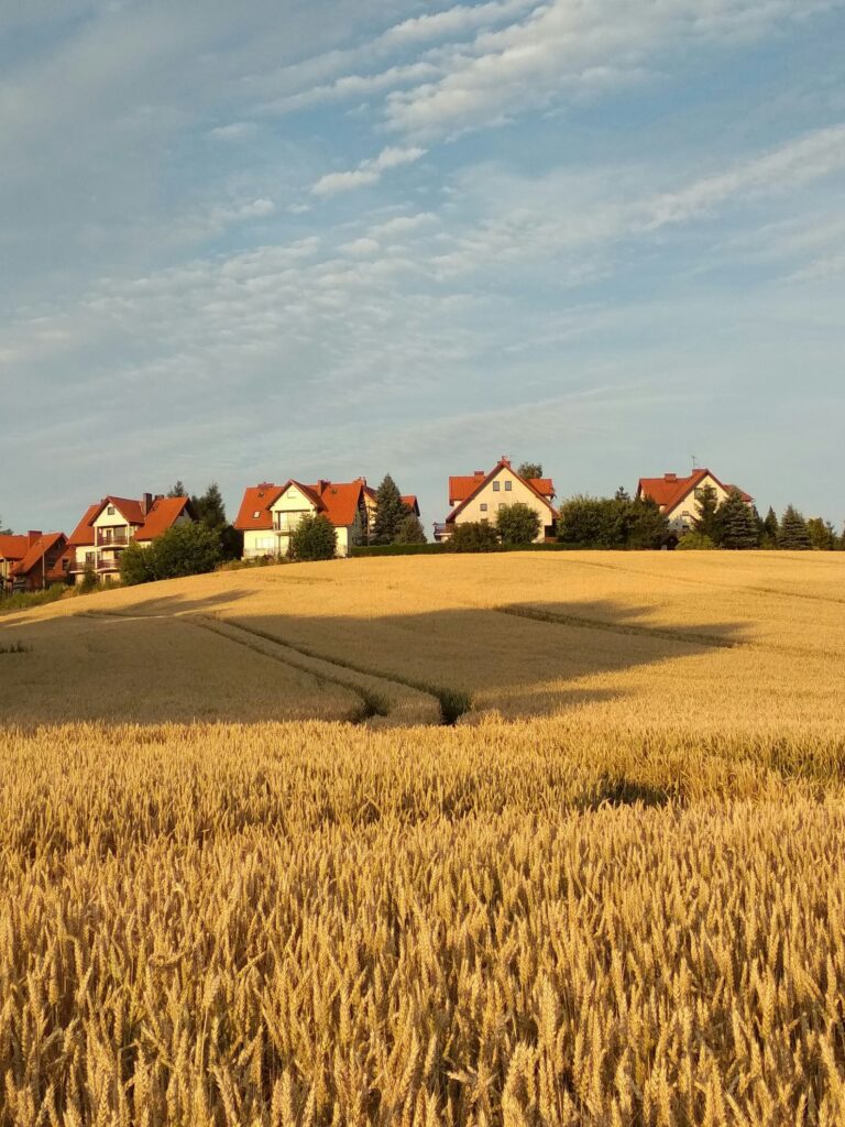 Co bezpieczenstwo energetyczne oznacza dla mieszkancow wsi i rolnikow