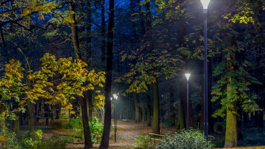 Light Factory x ZDM Warszawa - park