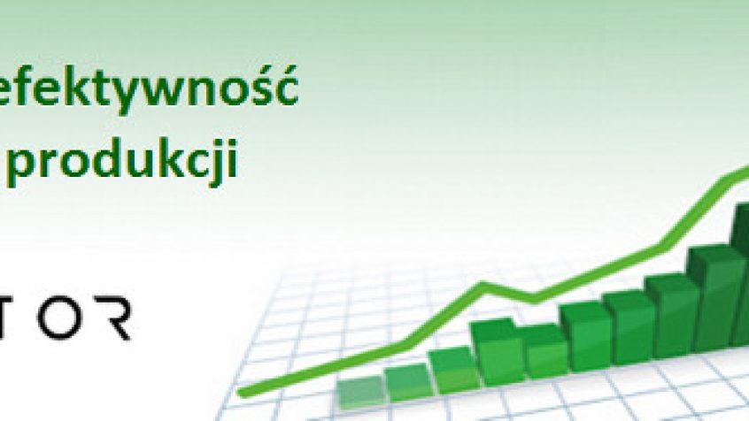 Efektywność produkcji