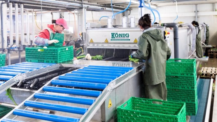 Eaton minimalizuje czas przestoju maszyny do przygotowywania warzyw w celu zapewnienia świeżych produktów