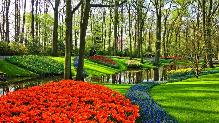 Zadbany park miejski