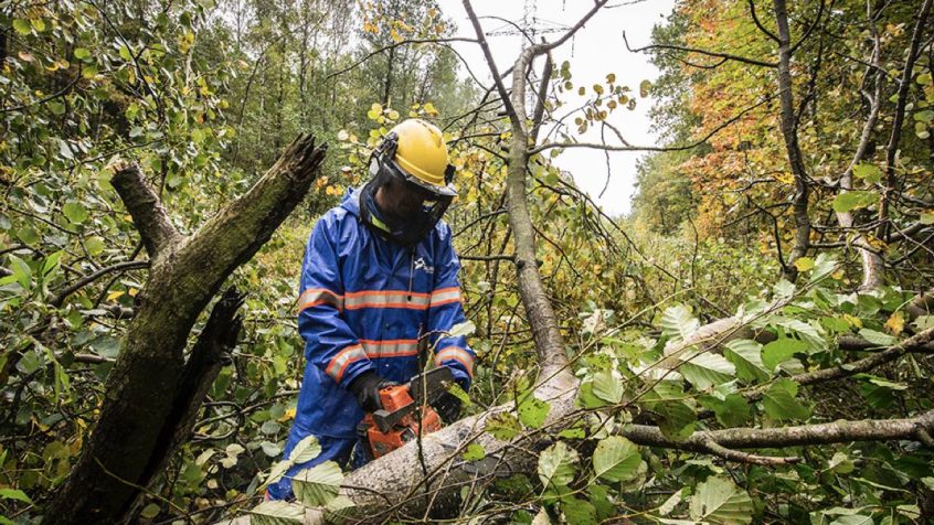 Energetycy TAURONA walczą ze skutkami huraganowego wiatru