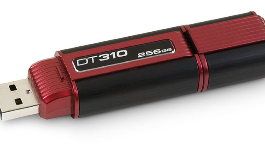 Kingston DataTraveler 310