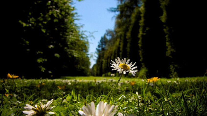 thumb_img_1518.jpg