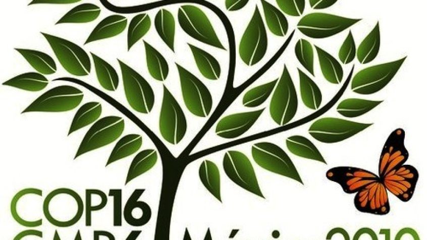 COP16