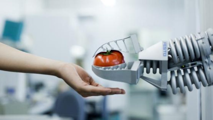 Polak współtwórcą bionicznego ramienia wzorowanego na trąbie słonia
