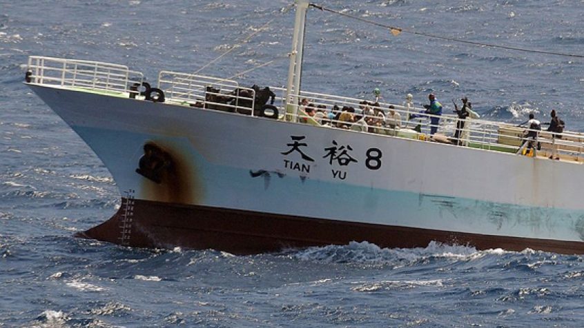 Chiński statek Tian Yu 8 porwany przez piratów z Somalii w 2008 roku