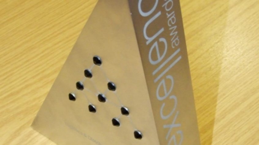 Supply Chain Excellence Award