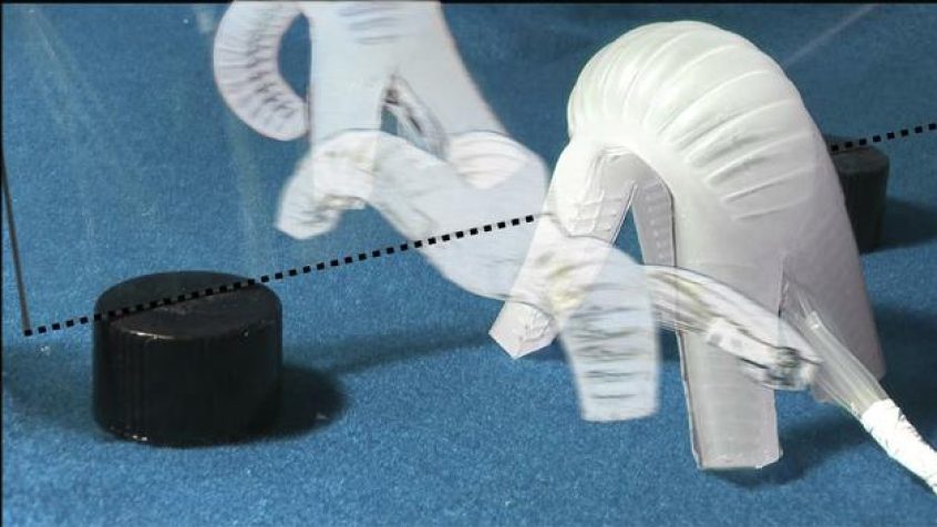 Miękki robot pneumatyczny do zadań specjalnych
