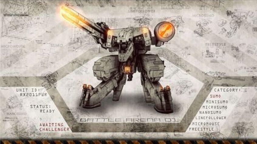 Robotic Arena 2011