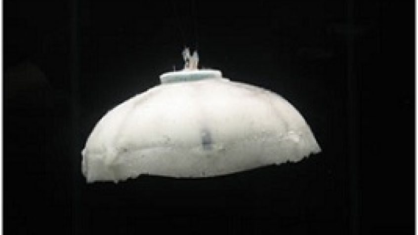 Napędzany wodorem podwodny robot-meduza