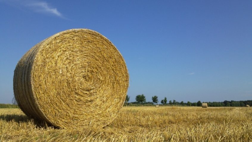 Słoma jako biomasa