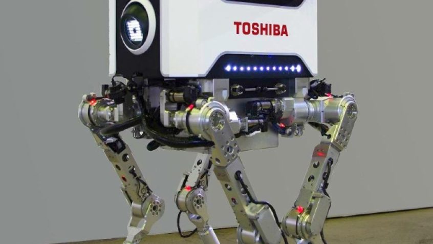 Tetrapod Toshiba