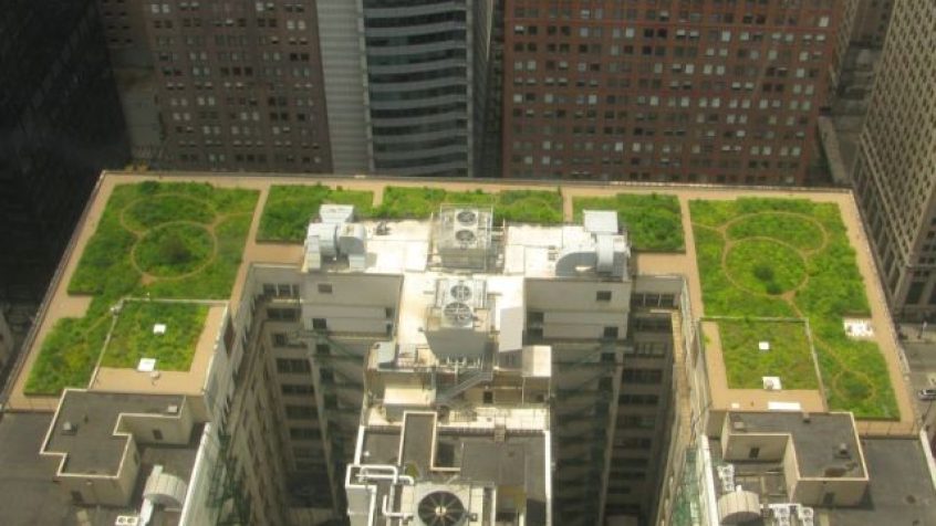 Go Green in the City