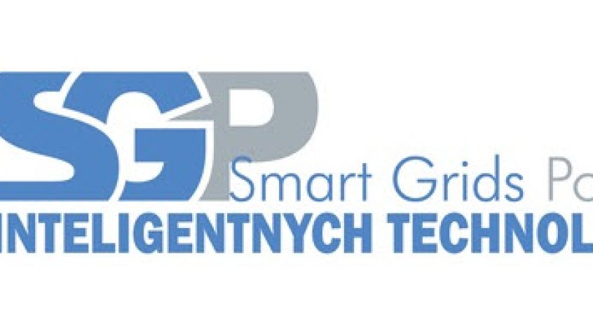 Raport INTELTECH Polski Rynek Inteligentnych Sieci