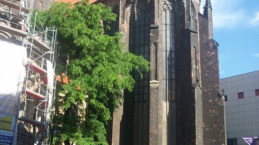 Kościół św Stanisława, Doroty i Wacława we Wrocławiu