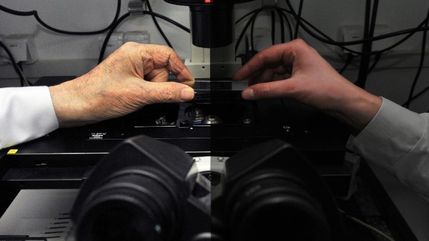 Fotostabilność cząsteczek chemicznych zawieszonych w polimerze można wydłużyć ograniczając ich kontakt z tlenem, odkryli naukowcy z Instytutu Chemii Fizycznej Polskiej Akademii Nauk (IChF PAN) w Warszawie.